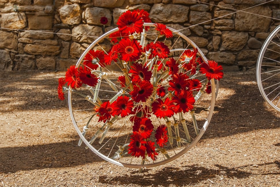 red flower accent grey bike wheel preview