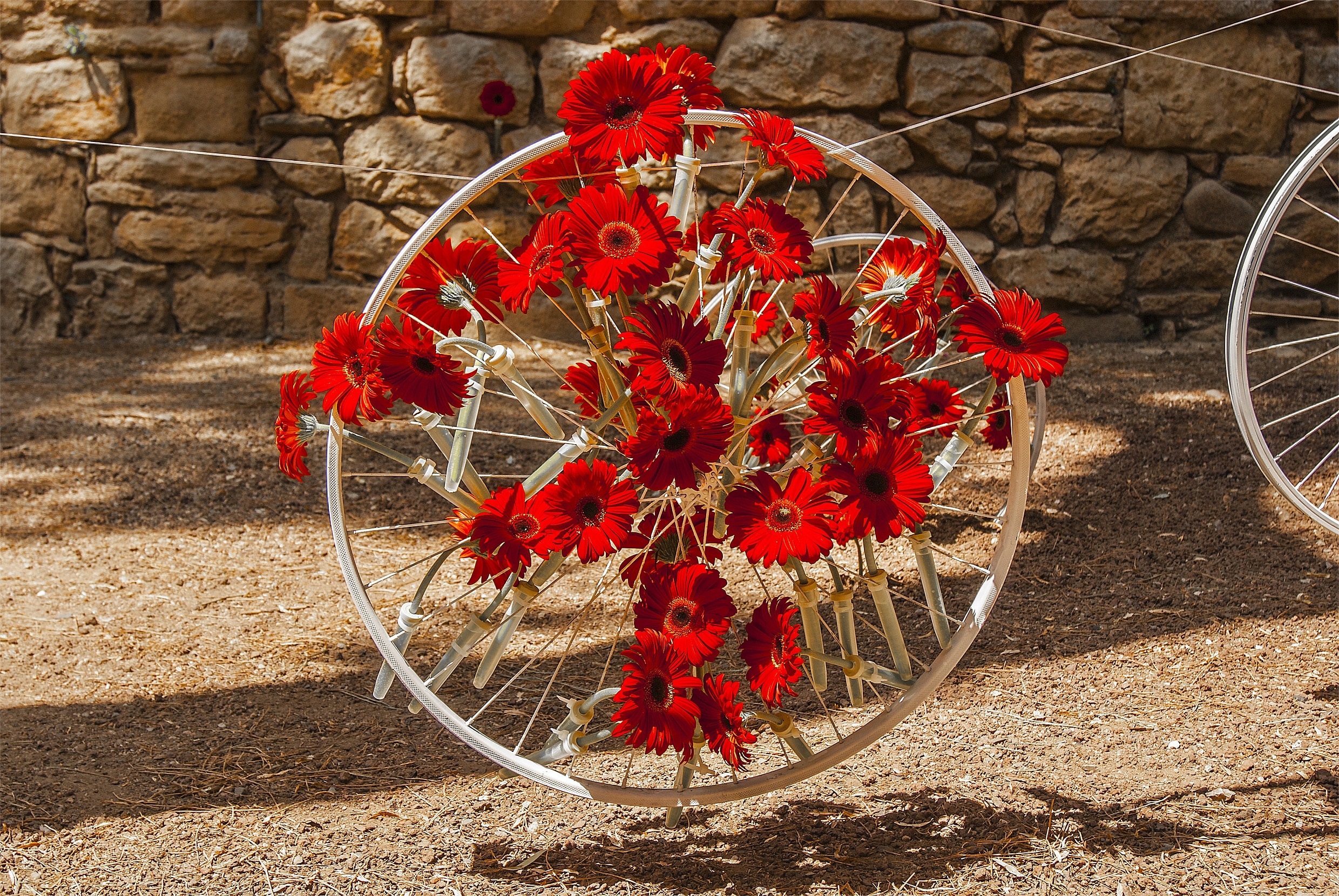 red flower accent grey bike wheel