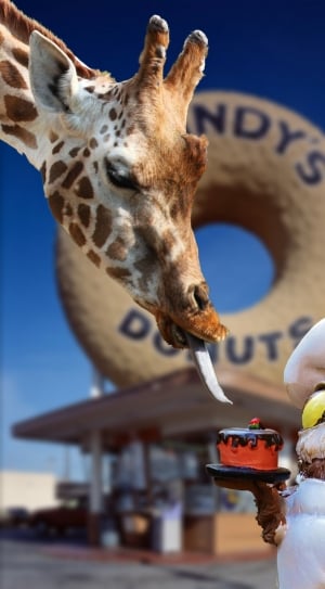 giraffe tasting cake from owl illustration thumbnail