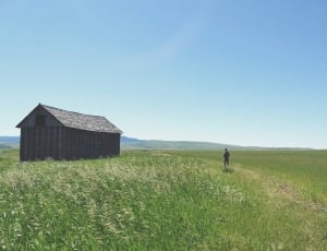 black cabin in a green grass field during daylight thumbnail
