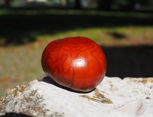 red round fruit thumbnail