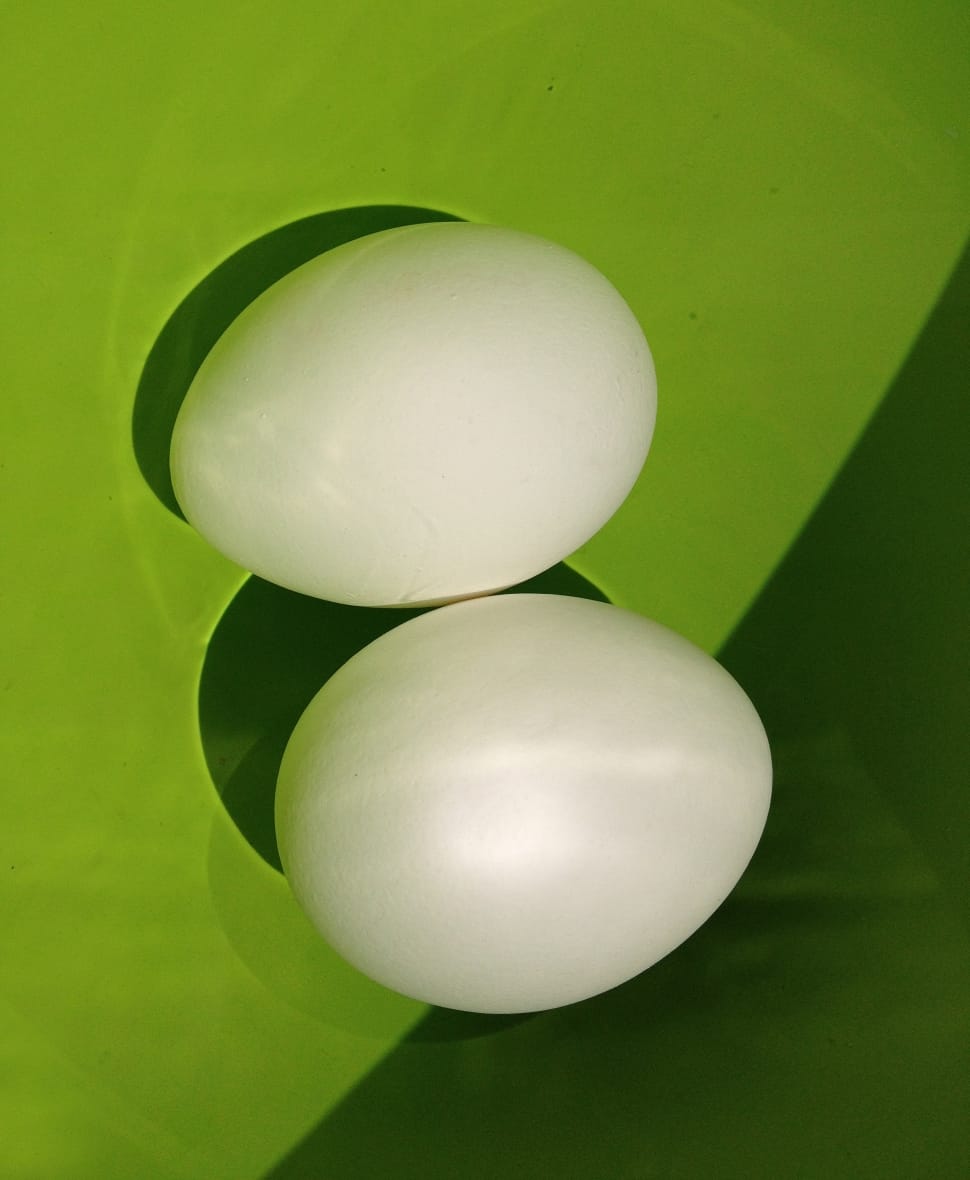 two white eggs on green surface preview