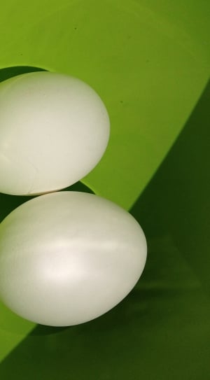 two white eggs on green surface thumbnail
