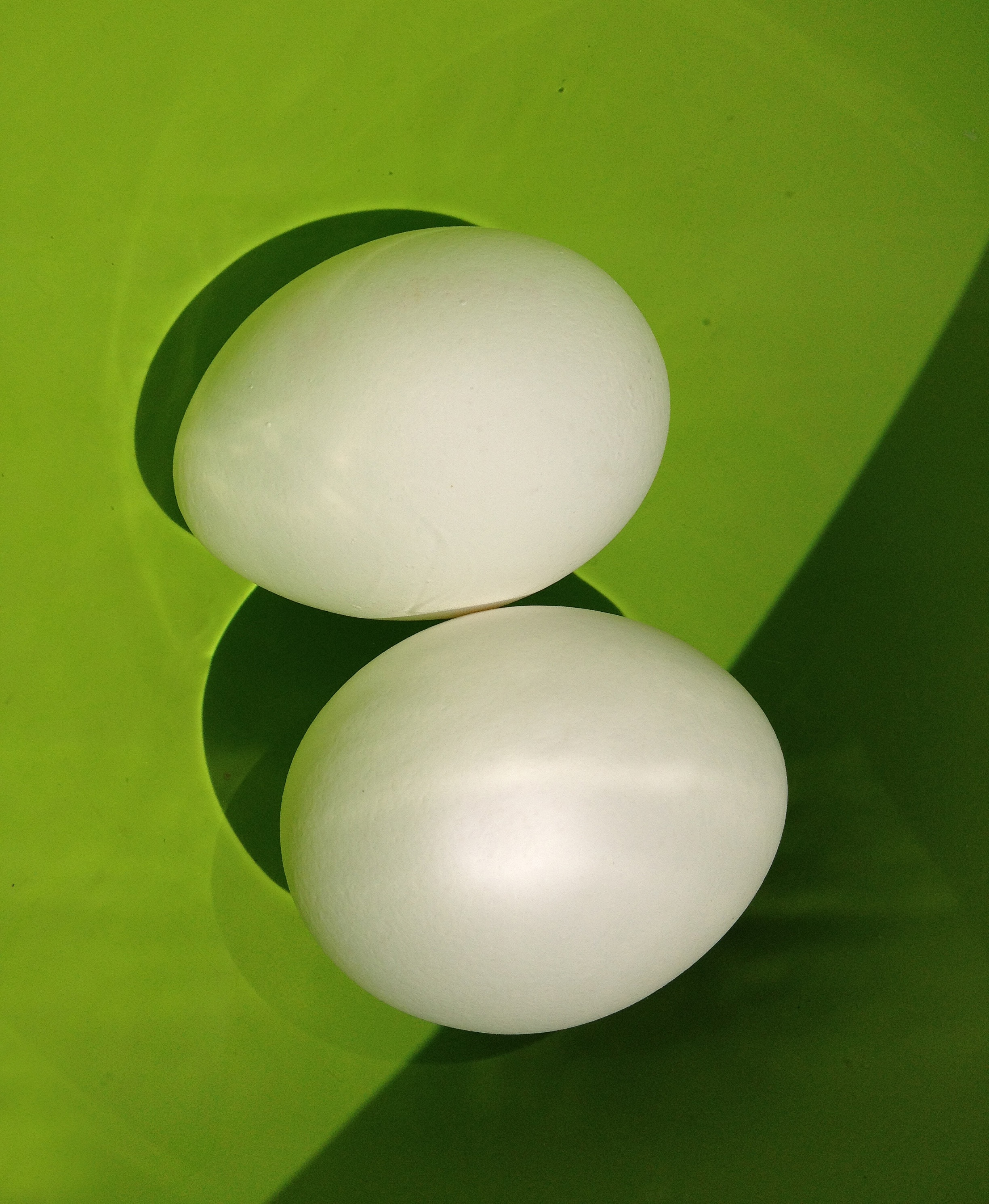 two white eggs on green surface