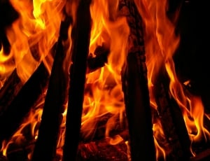 Blaze, Flame, Hot, Fire Bowl, Burn, Fire, fire - natural phenomenon, heat - temperature thumbnail