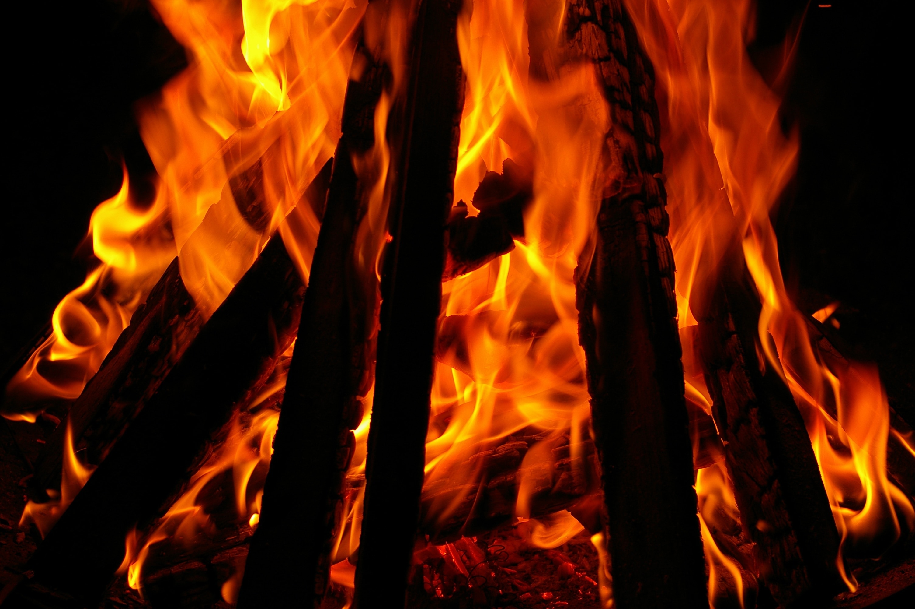 2560x1440 Wallpaper Blaze Flame Hot Fire Bowl Burn Fire Fire