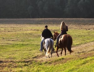 2 person riding 2 horses thumbnail
