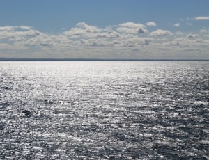 landscape photo of ocean under clear blue sky thumbnail