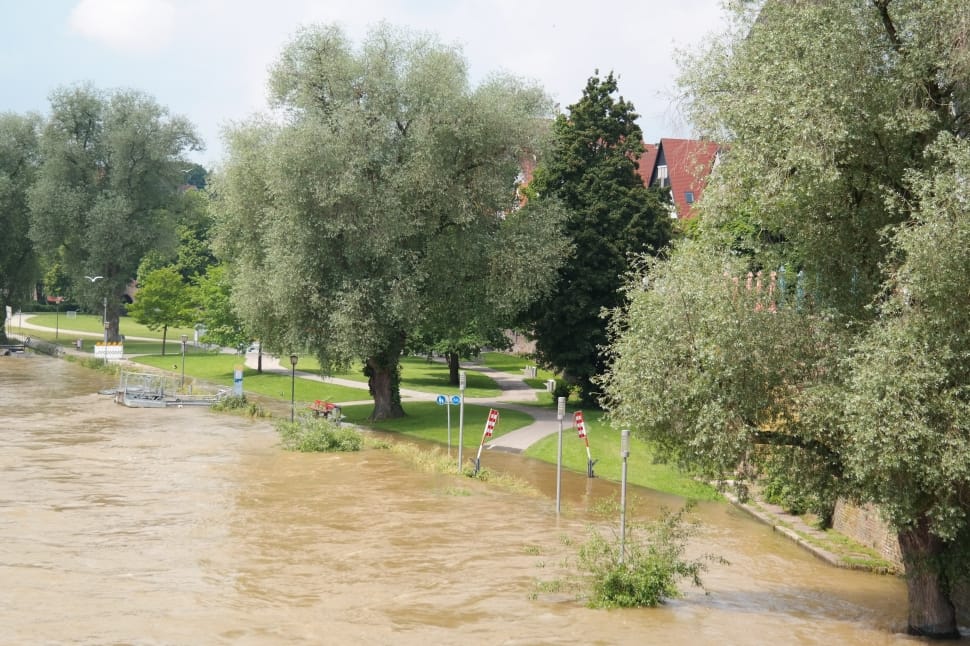 flood near trees and buildings at daytime preview