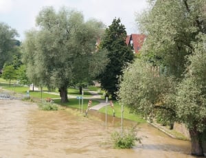flood near trees and buildings at daytime thumbnail