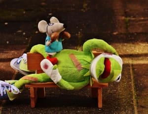 green frog plush toy and brown mice plush toy thumbnail