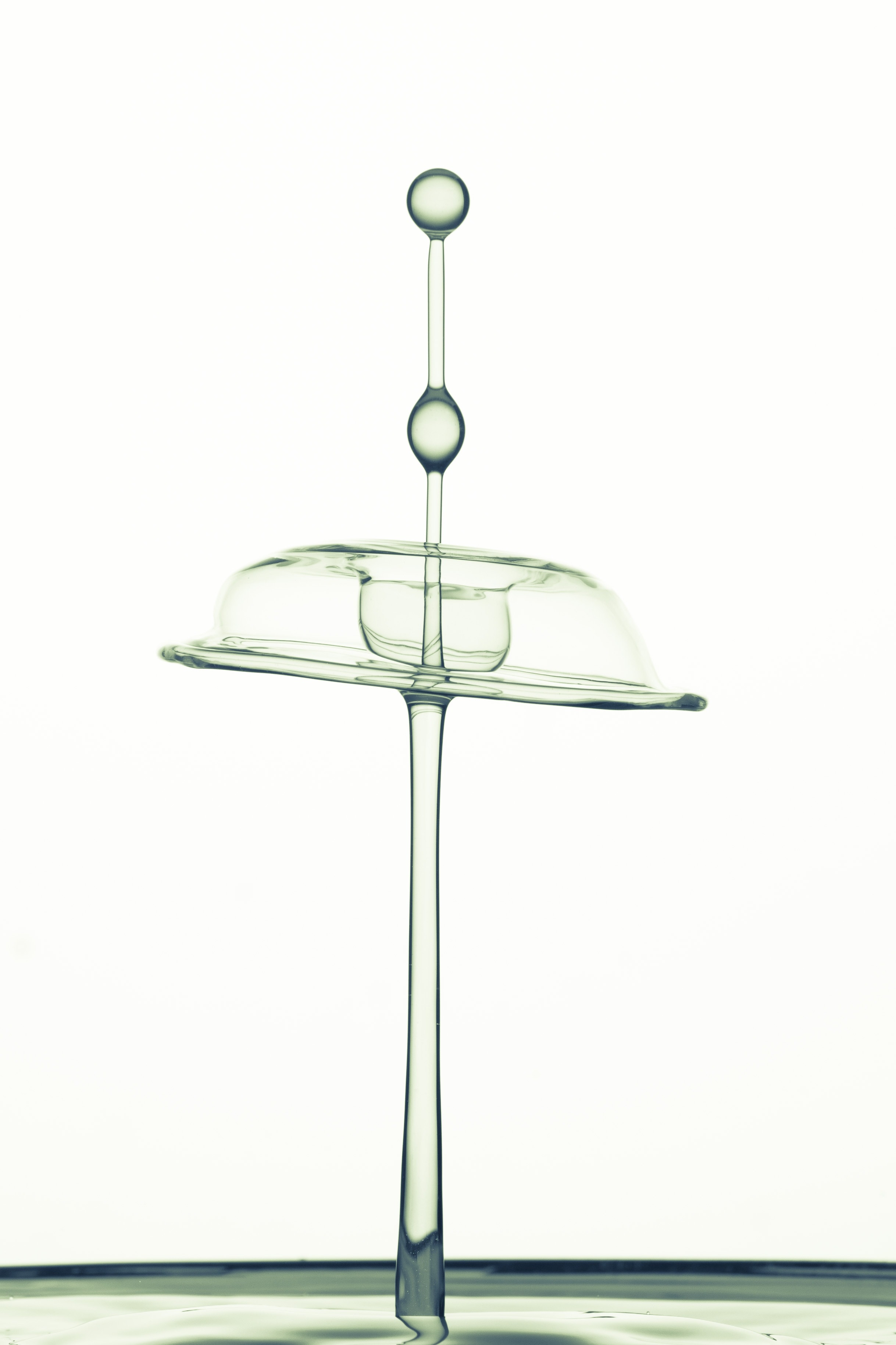 clear glass food dome stand