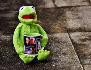 kermit the frog plush toy thumbnail