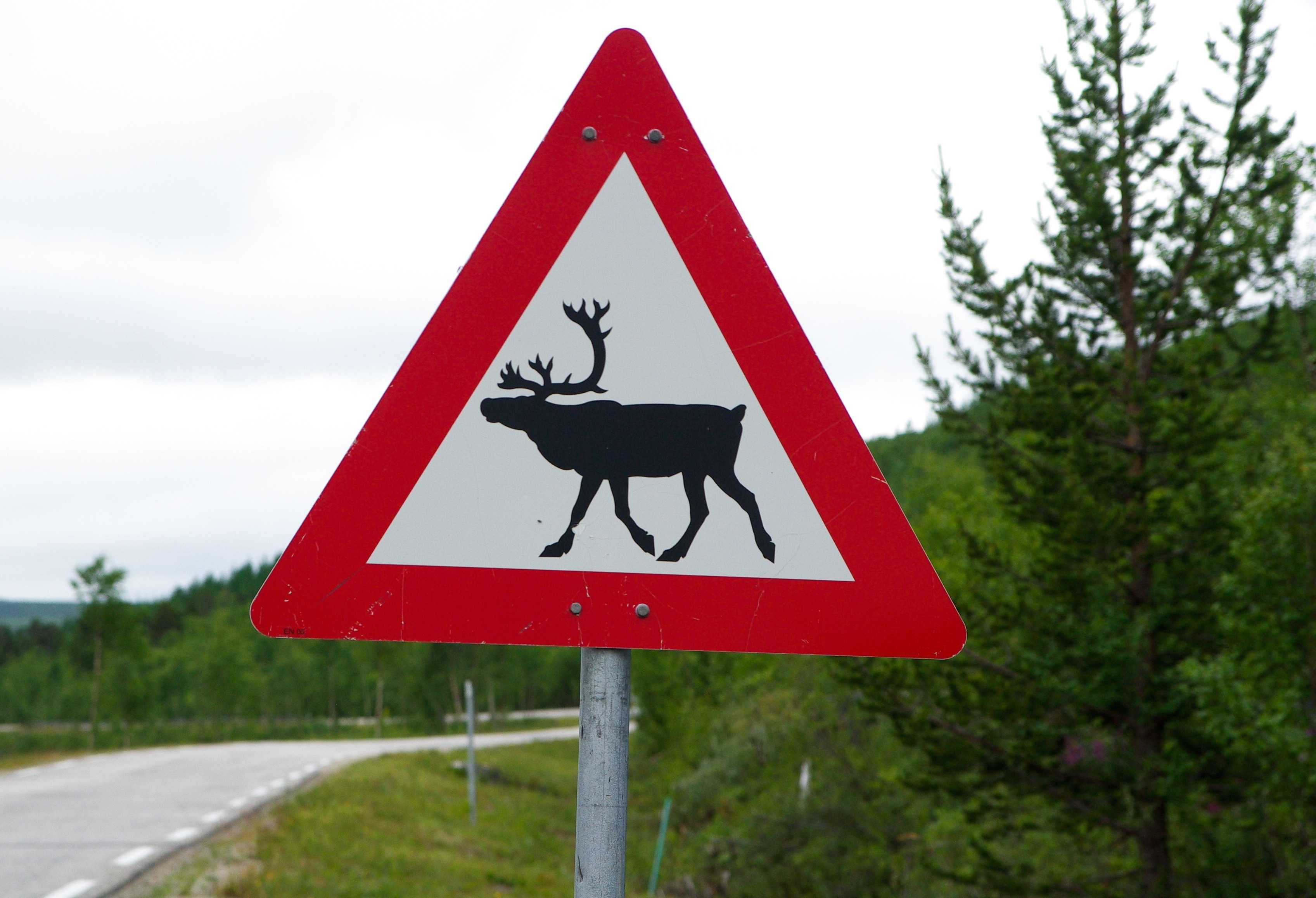 deer crossing signage