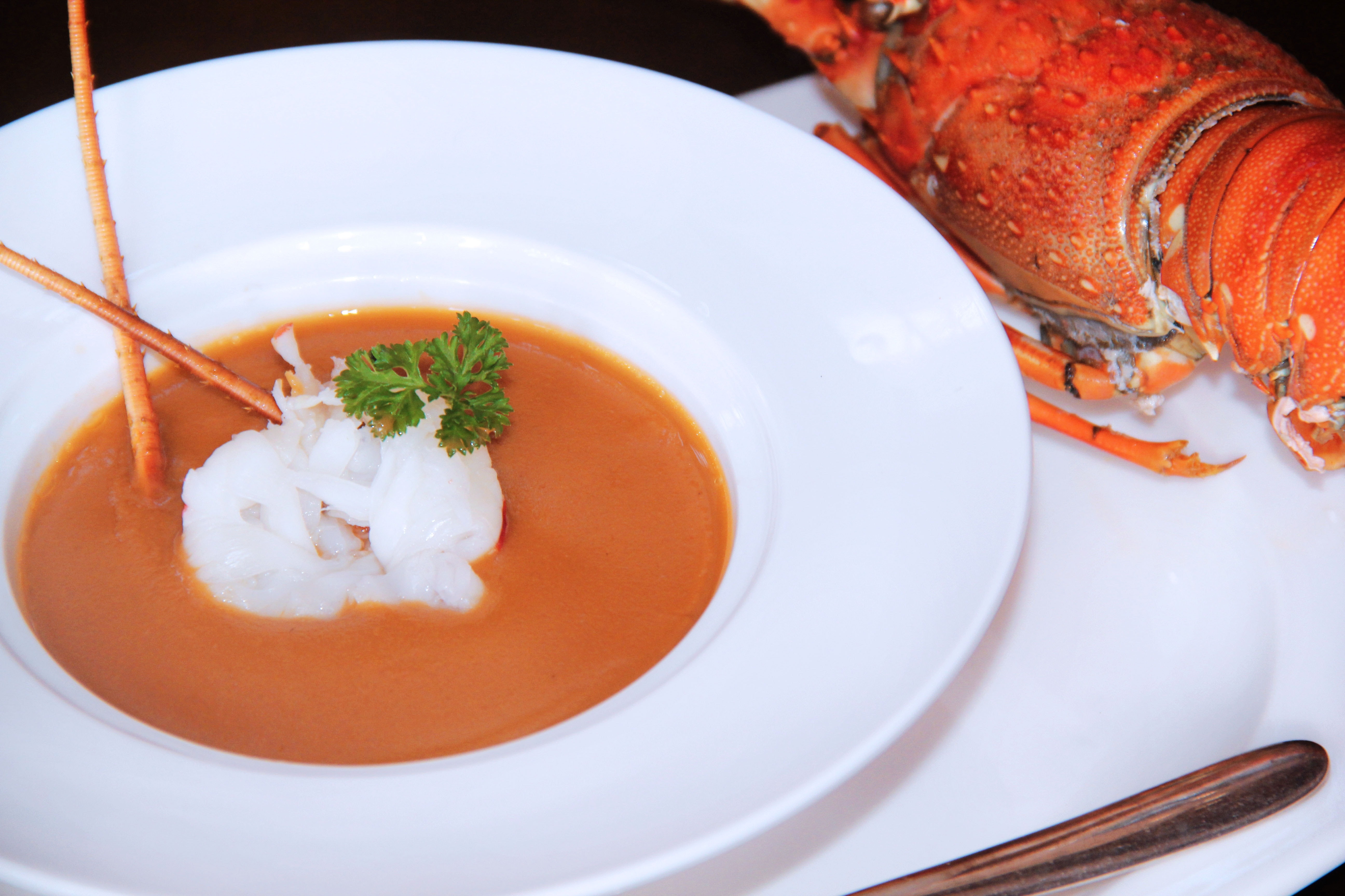 lobster with sauce on white ceramic round plate