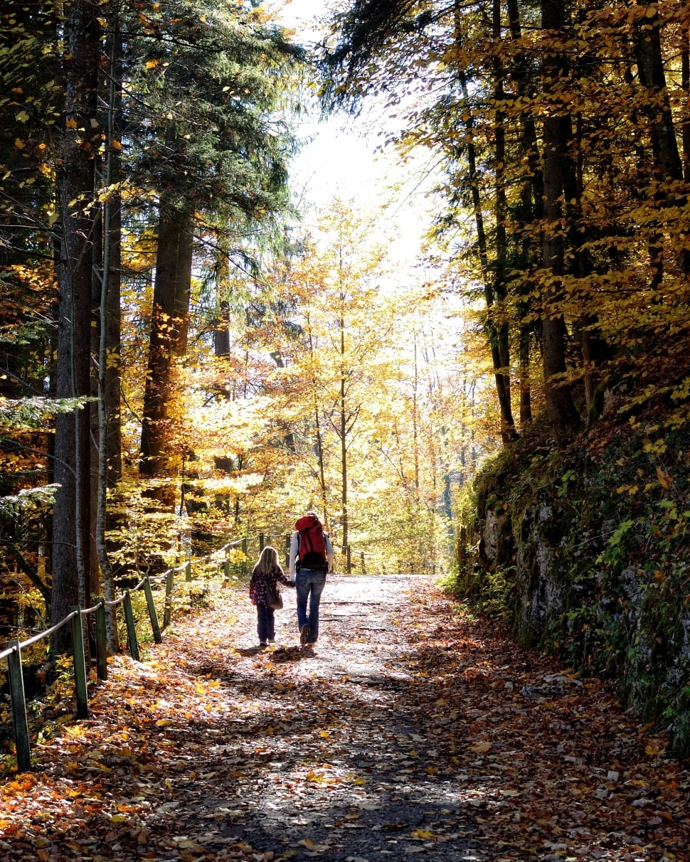 child and woman walking on unpaved road surrounded with tall trees during daytime preview