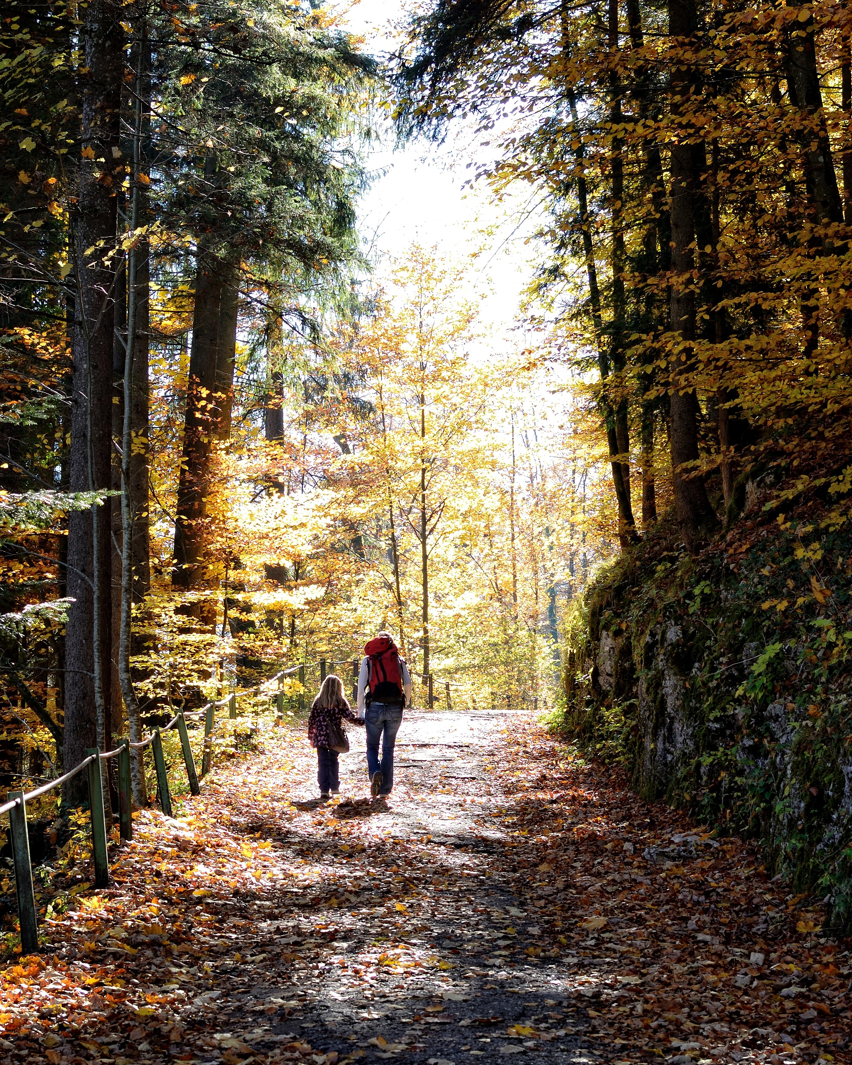 child and woman walking on unpaved road surrounded with tall trees during daytime