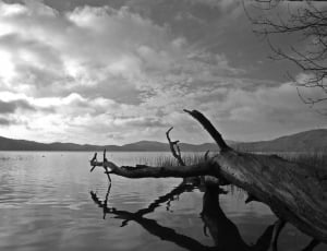 grayscale photo of body of water under cloudy sky thumbnail