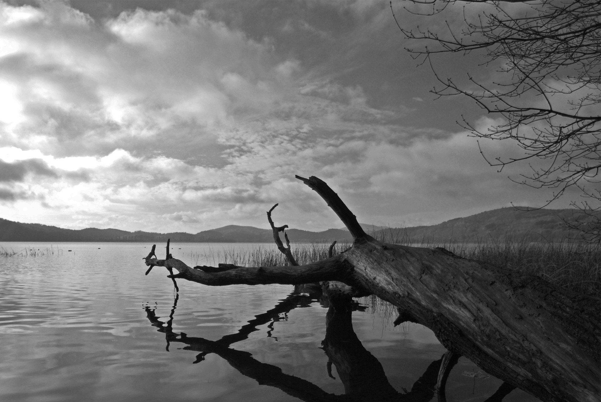 grayscale photo of body of water under cloudy sky