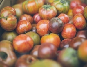 focus photography of stacks of tomatoes thumbnail