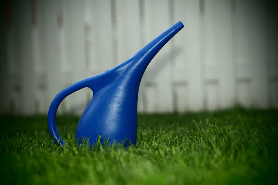 blue watering can preview