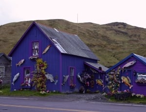 Dutch Harbor, House, Mountains, Alaska, mountain, built structure thumbnail