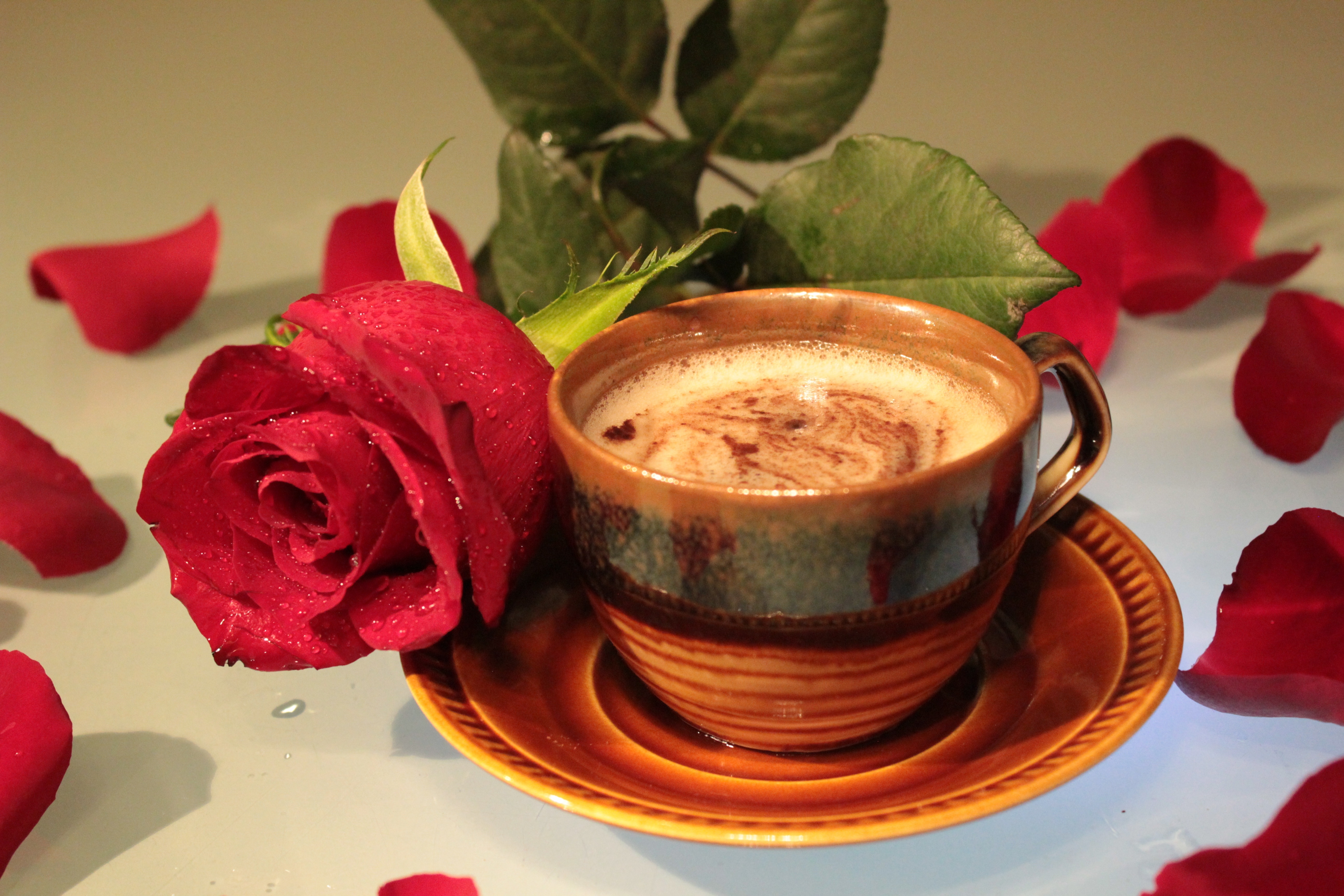 brown and black ceramic teacup on brown ceramic round plate