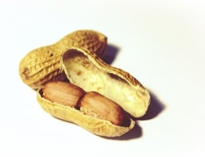Nutrition, Snack, Peanuts, Healthy, Nuts, white background, food and drink thumbnail