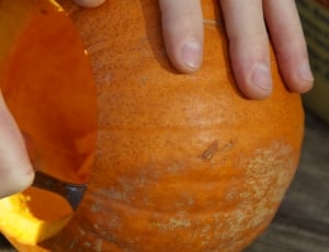 Pumpkin, Pumpkins, Orange, Bright, orange color, food and drink thumbnail
