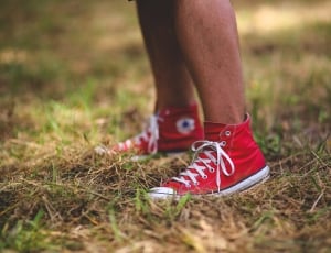 red and white converse all star high top lace up sneakers thumbnail
