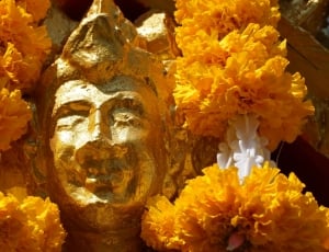 Statue, Adoration, Holy Thing, Image, yellow, gold colored thumbnail