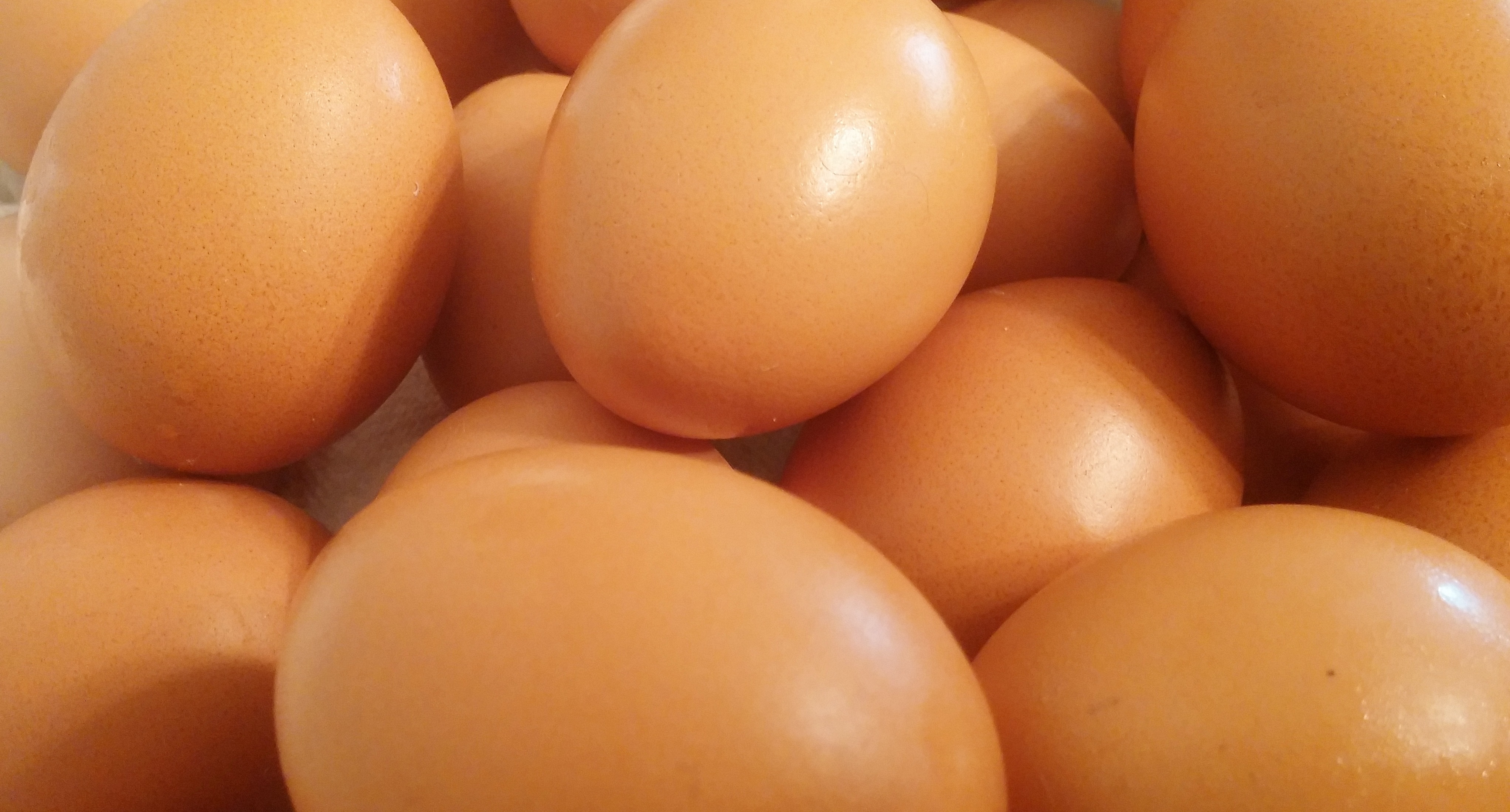 brown organic eggs