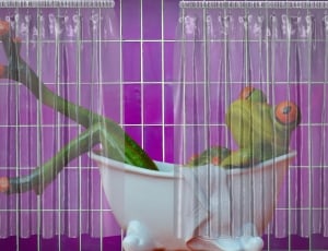 frog in tub illustration thumbnail