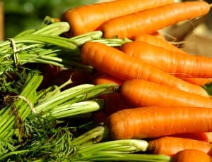 stack of carrots thumbnail