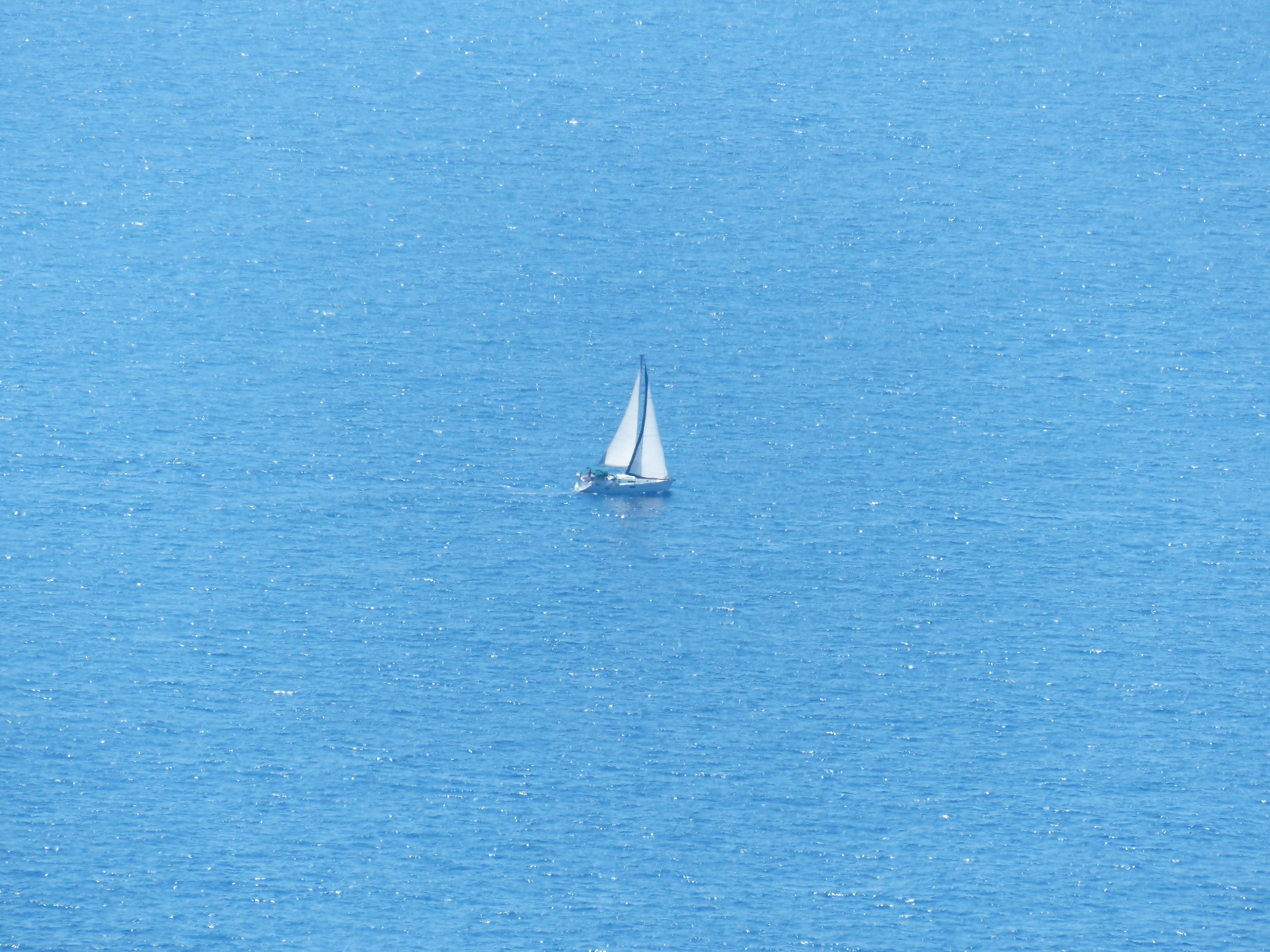 white sailboat on the sea during daytime