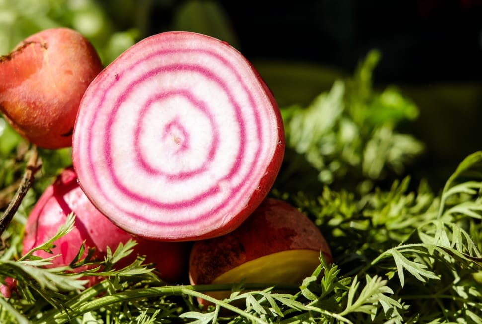 red onion preview