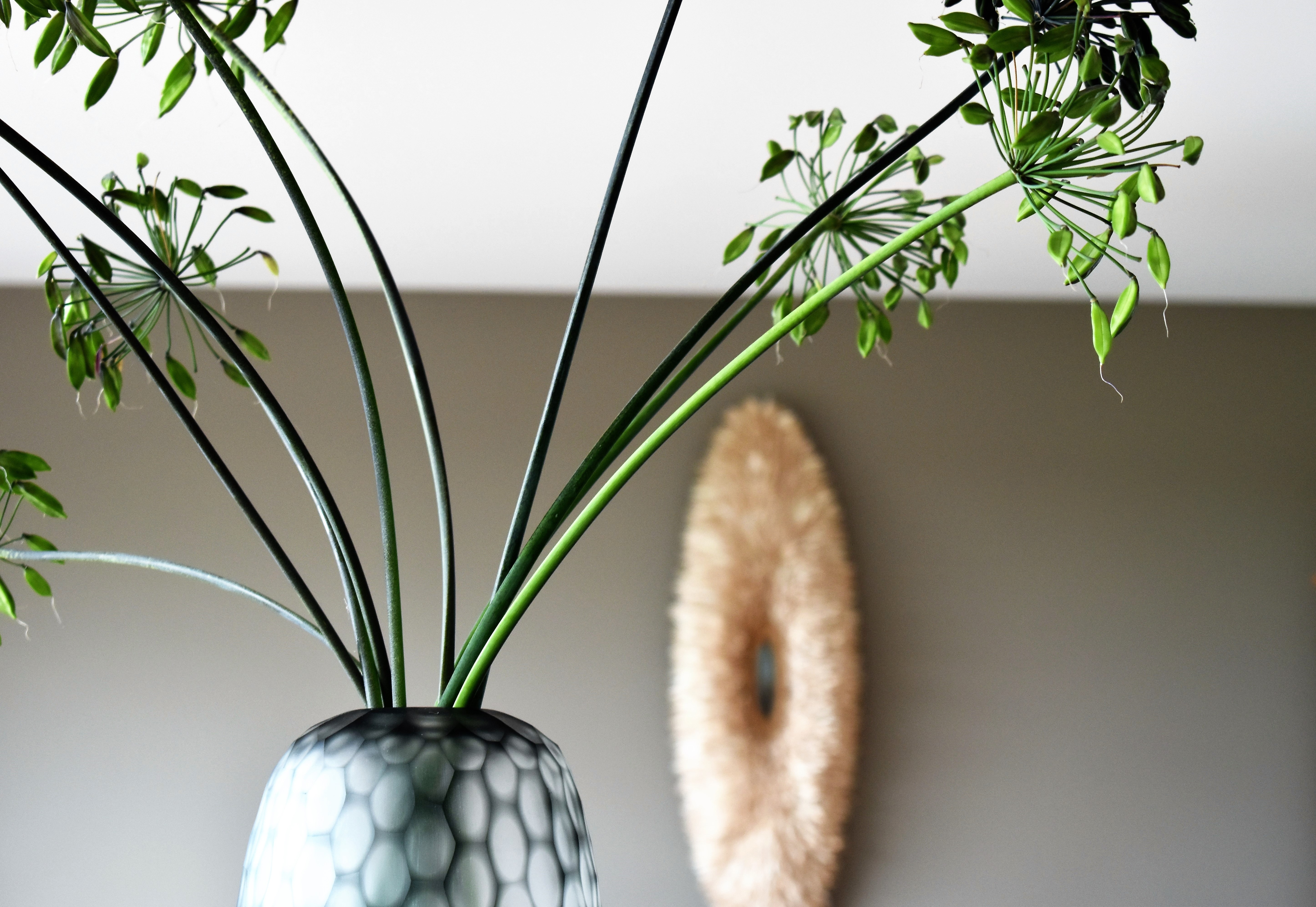 Indoors, Vase, Agapanthus, Lamp, Deco, plant, indoors