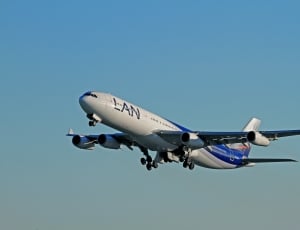 white and blue lan airplane under blue and white sky during daytime thumbnail