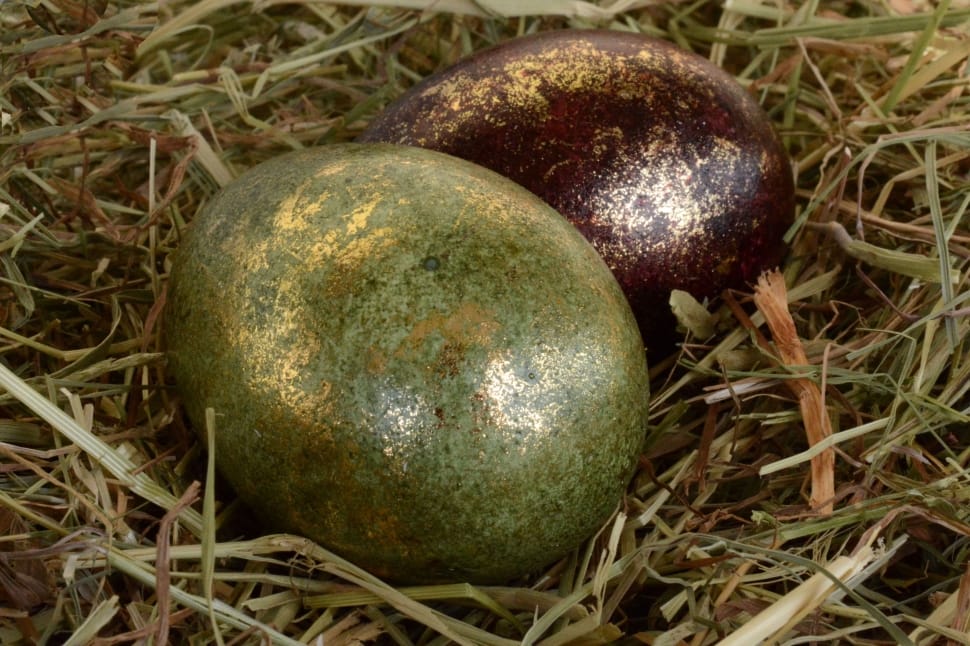 close up photography of two green and brown painted easter eggs preview