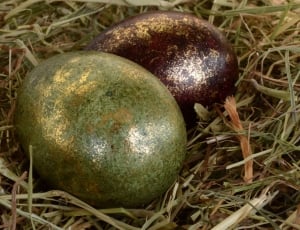 close up photography of two green and brown painted easter eggs thumbnail