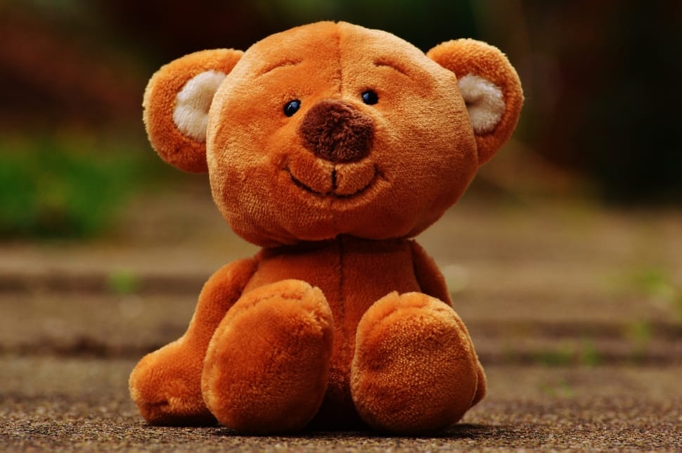 brown bear plush toy preview