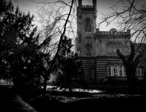 mansion grayscale photo thumbnail