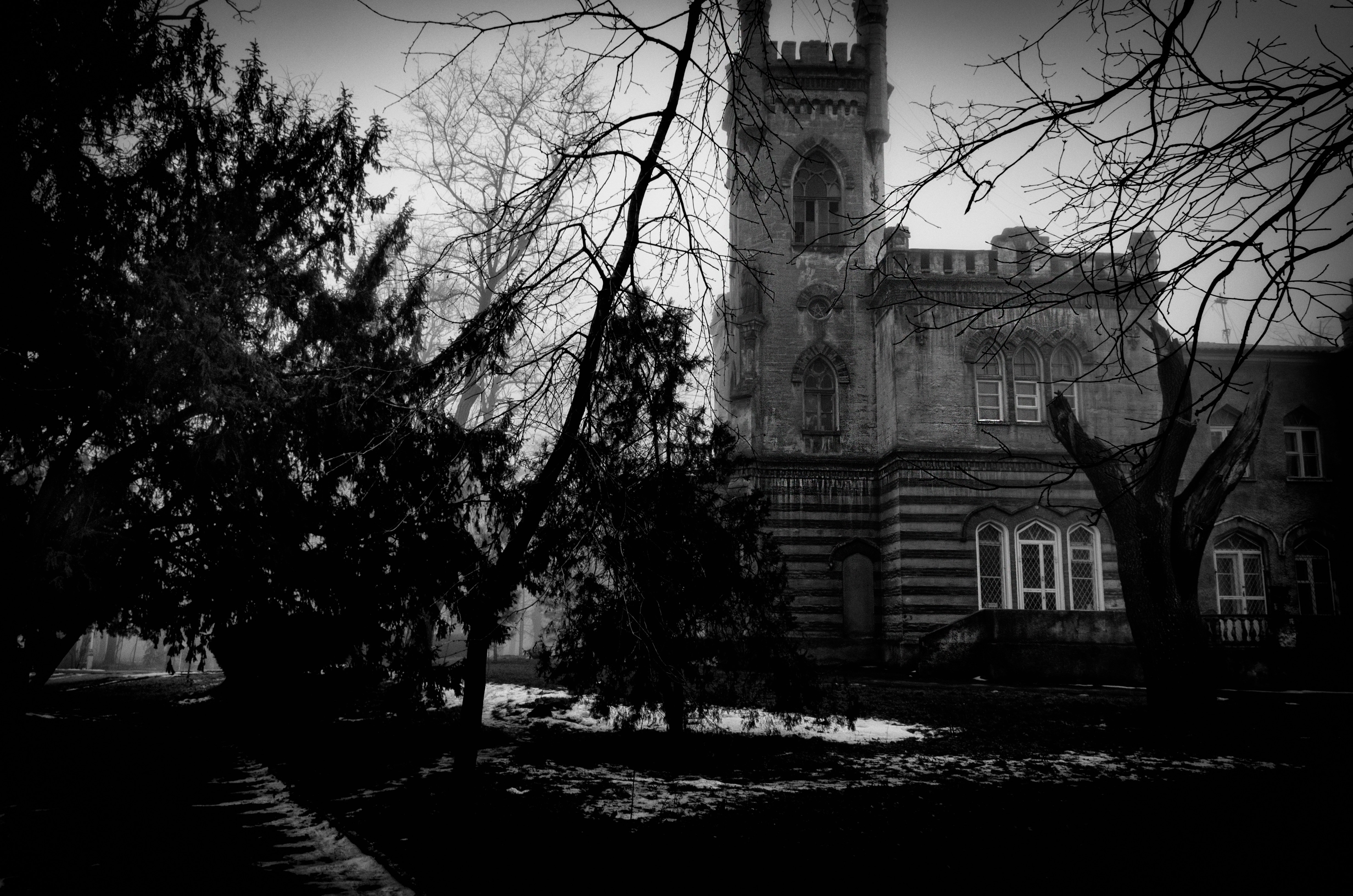 mansion grayscale photo