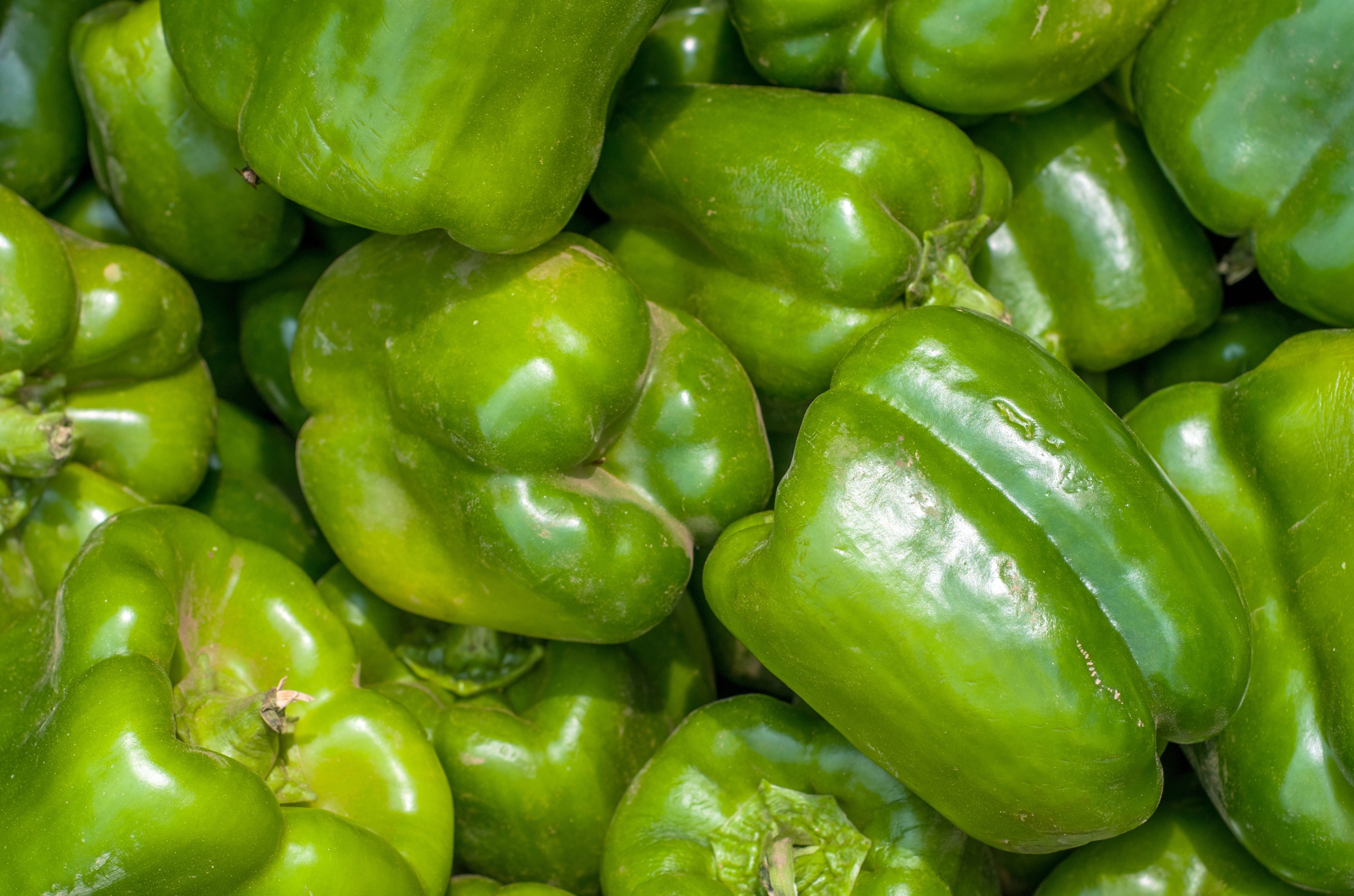 green bell pepper lot