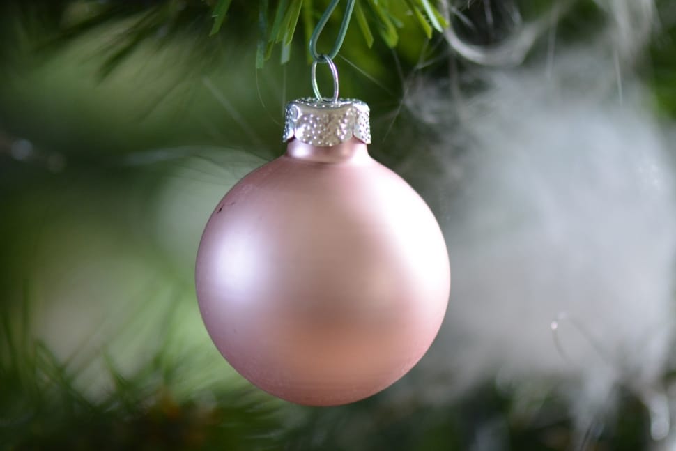 Christmas Bauble, Christmas, Decoration, plant, close-up preview
