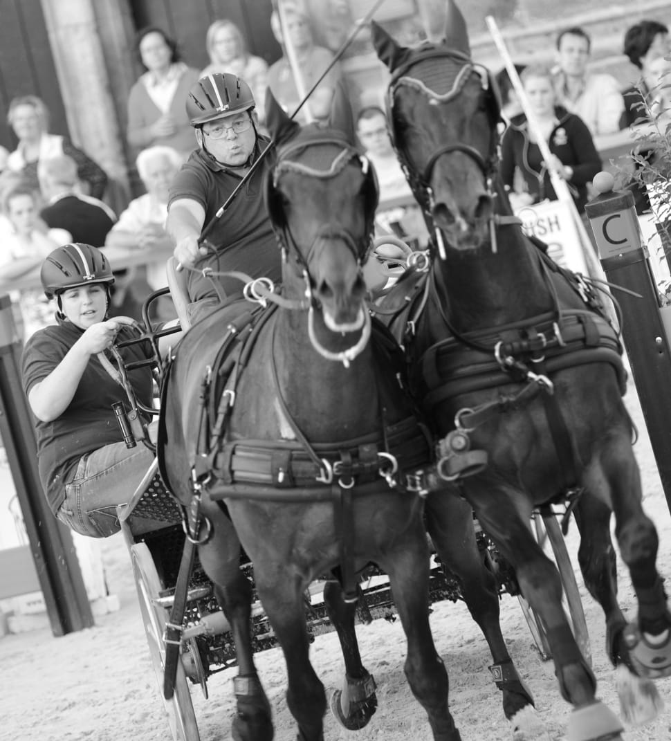 grayscale of chariots preview