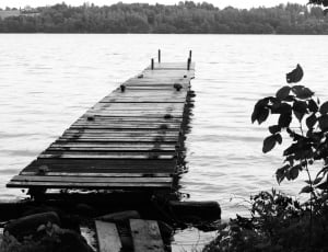 grayscale photo of a dock thumbnail