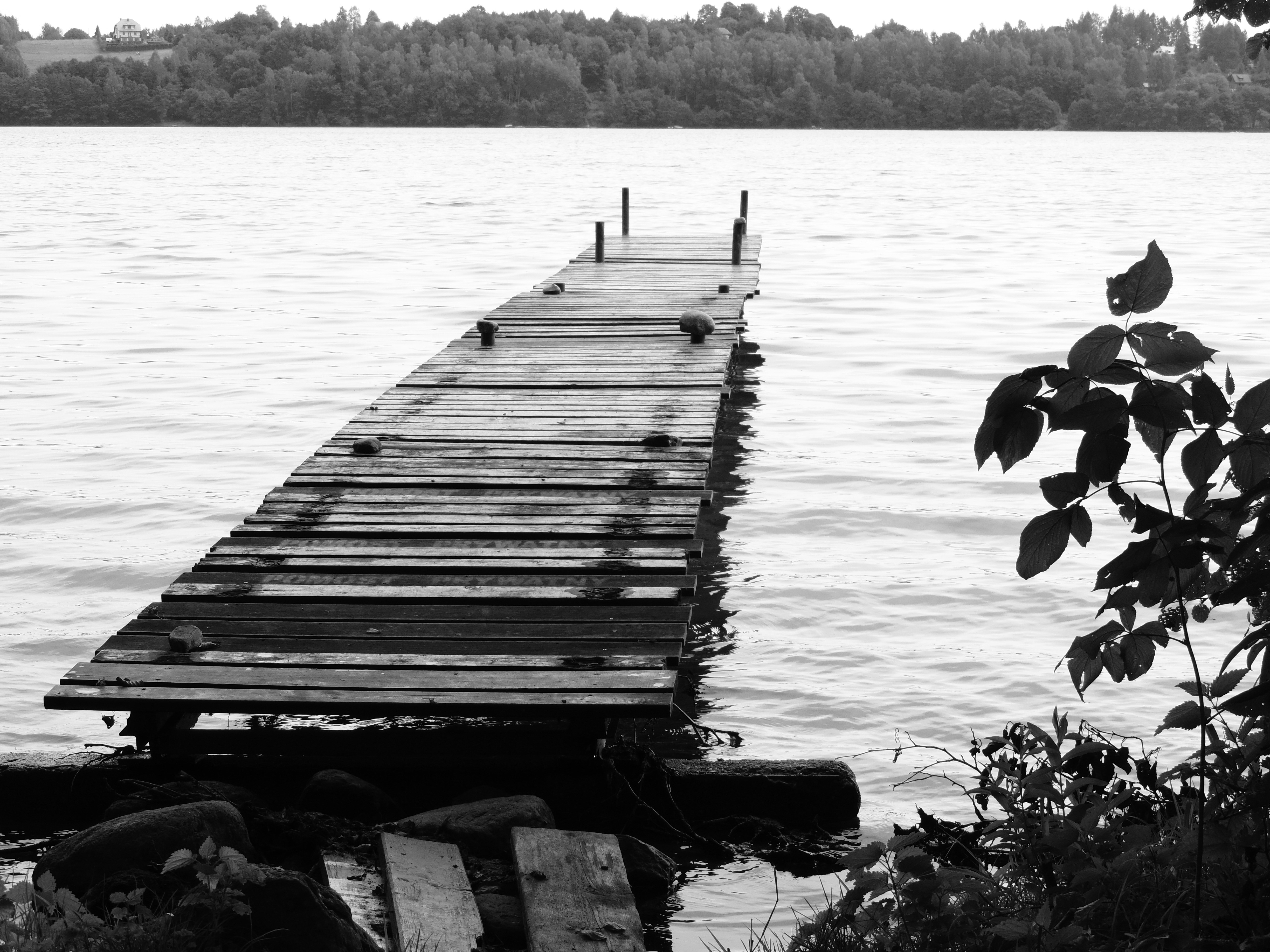 grayscale photo of a dock
