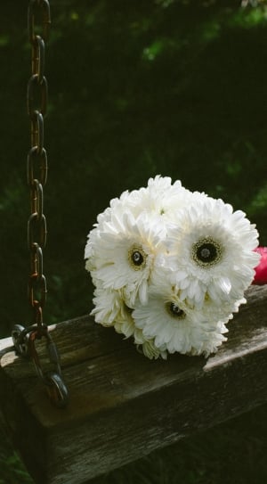white petaled flower bouquet on brown wooden swing thumbnail