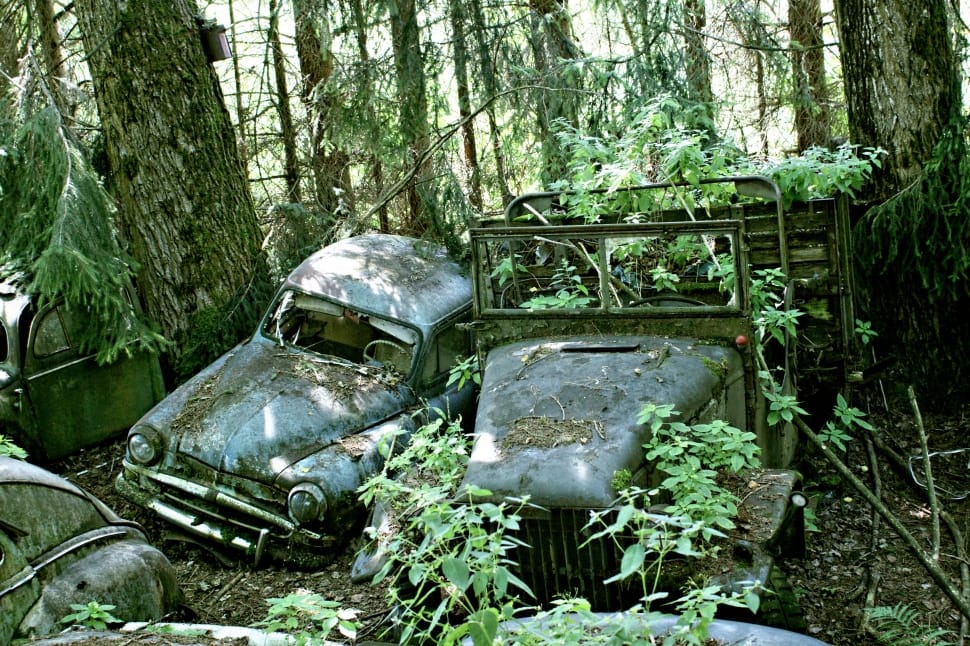Old, Discarded, Weathered, Car Cemetery, forest, day preview